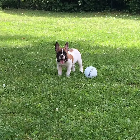 Marton Balatonszemes